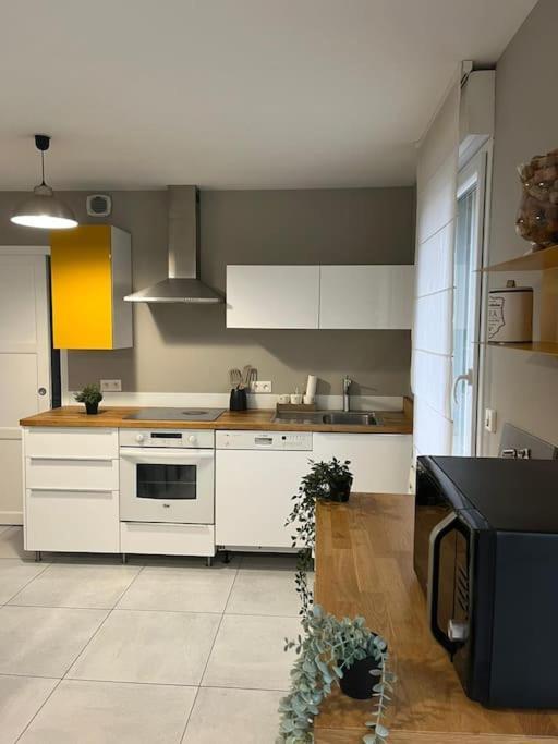 La Maison Du Bonheur 70 M² Saint-Amand-les-Eaux Esterno foto