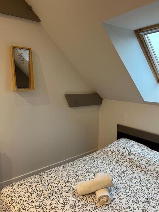 La Maison Du Bonheur 70 M² Saint-Amand-les-Eaux Esterno foto