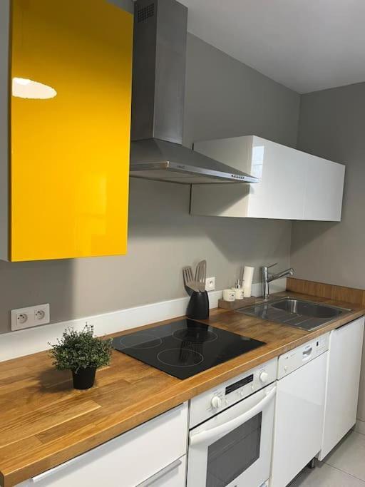 La Maison Du Bonheur 70 M² Saint-Amand-les-Eaux Esterno foto